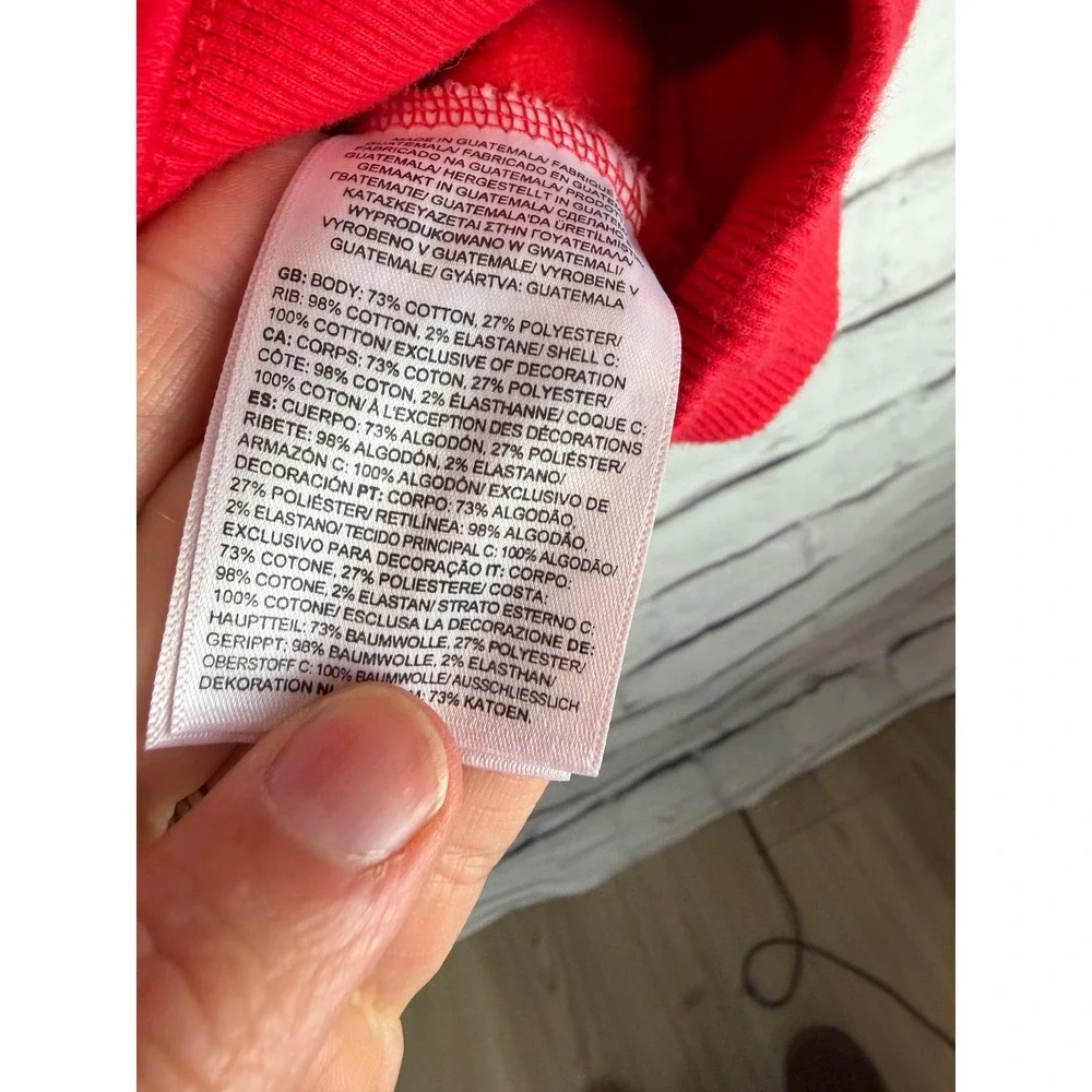 The North Face Mens Red Box Logo Pullover Hoodie Sweatshirt Medium